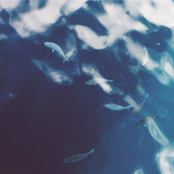 Meet your Posher, Beth - Picture 1 of 1